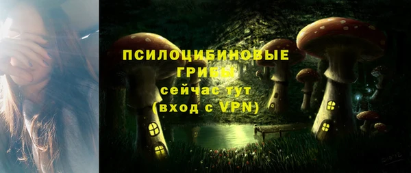 таблы Алзамай