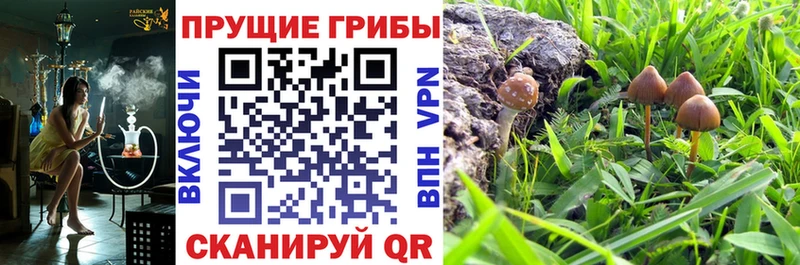 где найти наркотики  omg маркетплейс  Псилоцибиновые грибы MAGIC MUSHROOMS  Лысково 